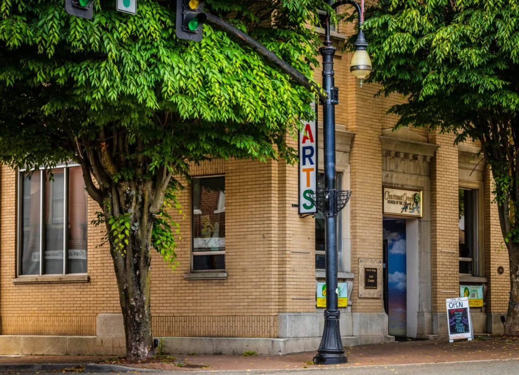 Chestnut Creek School of the Arts