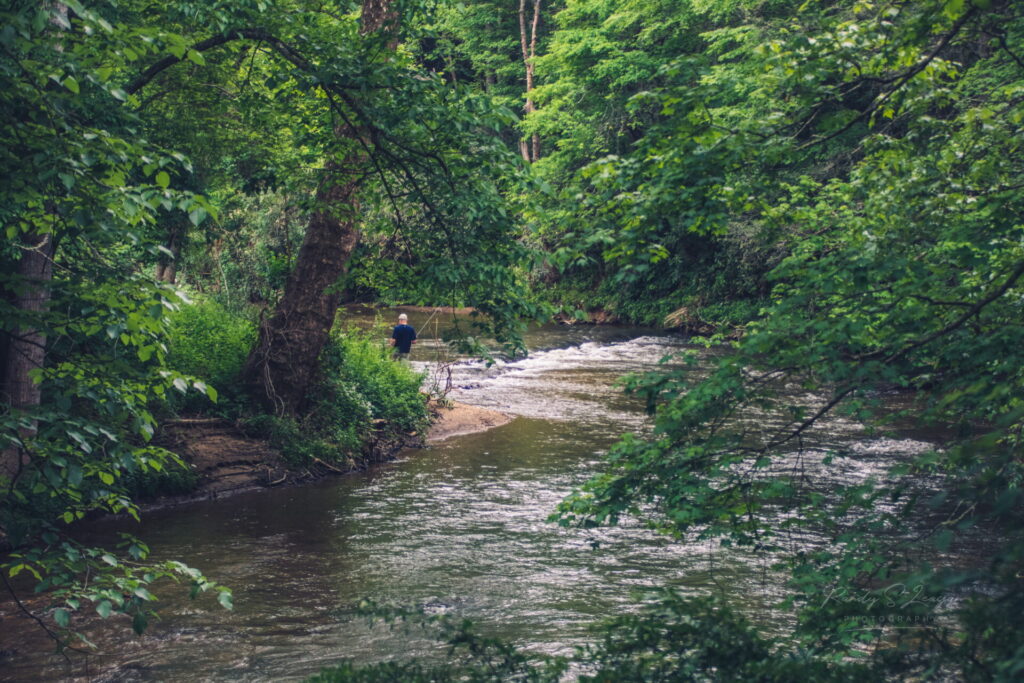 fishing on the new river