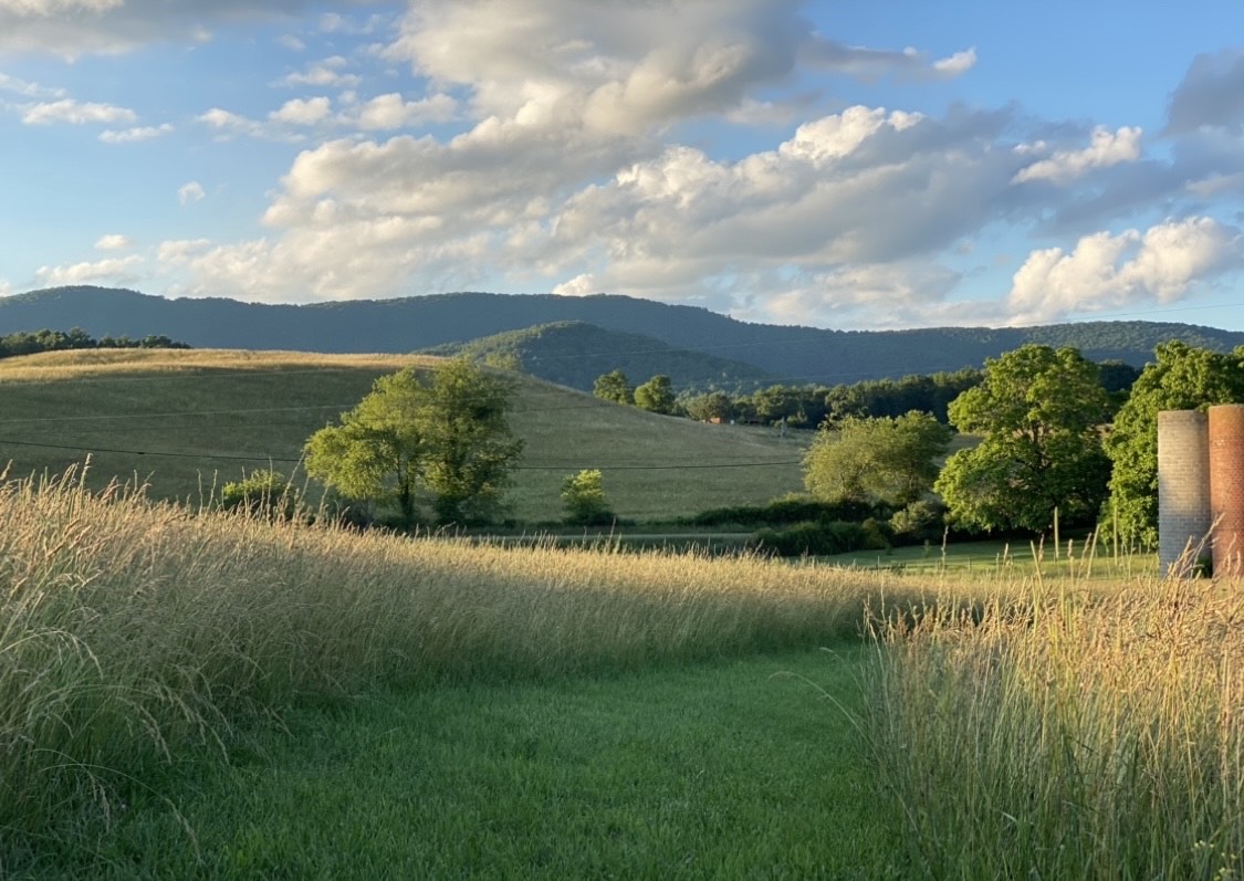 Plein Air at Stonefarm in Elk Creek, Virginia