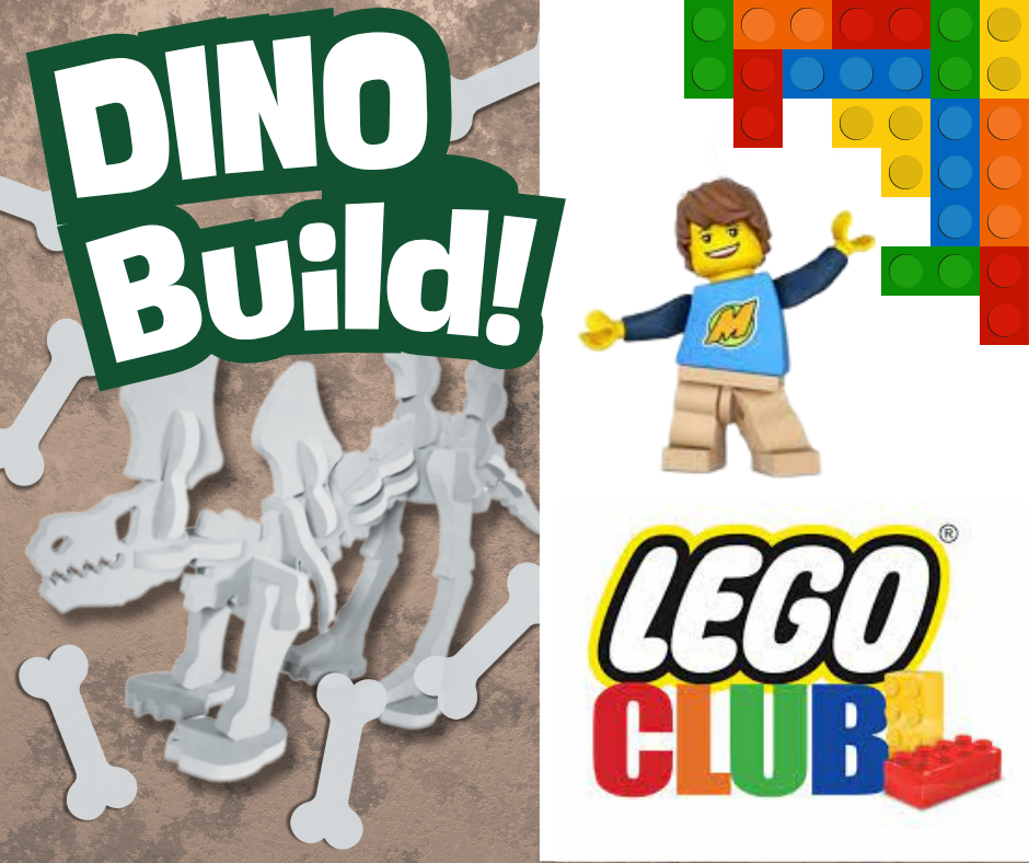 LEGO Club & Dino Build