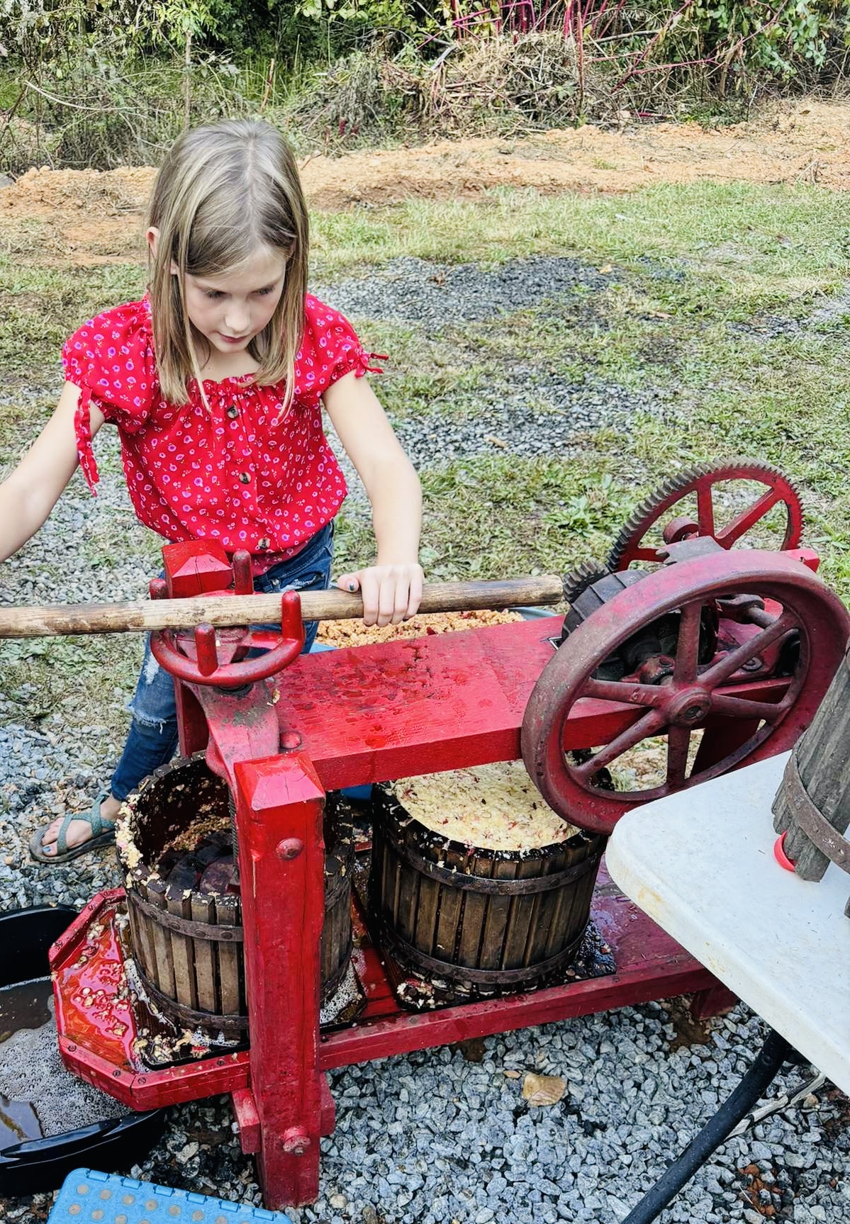 4th Annual Apple Cider Festival