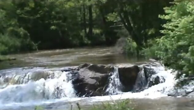 chestnut creek falls