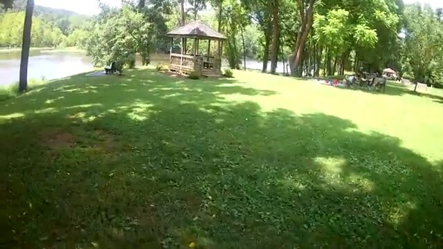 foster falls picnic