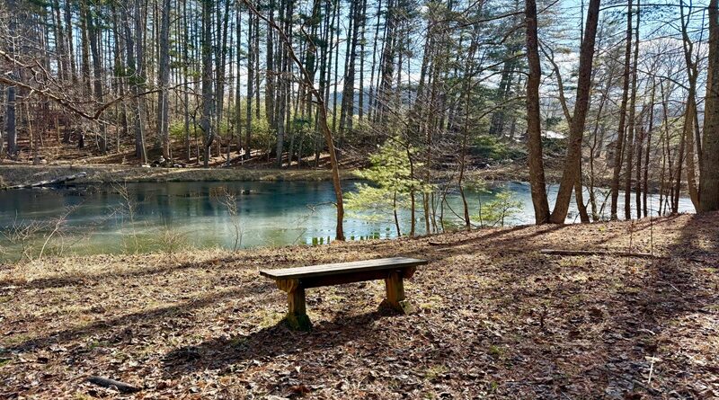 matthews bench and pond