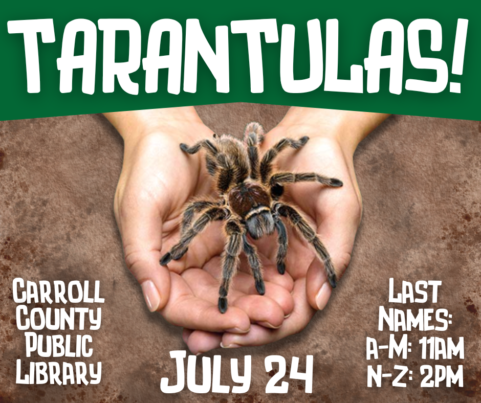 TARANTULAS!