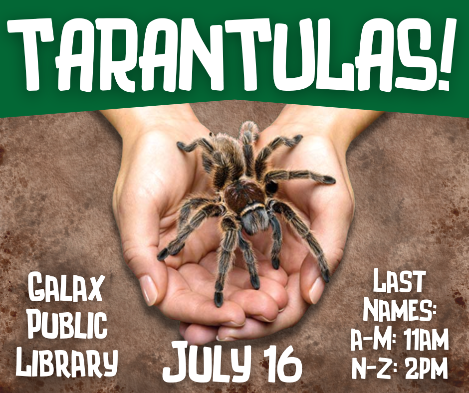 TARANTULAS!!!
