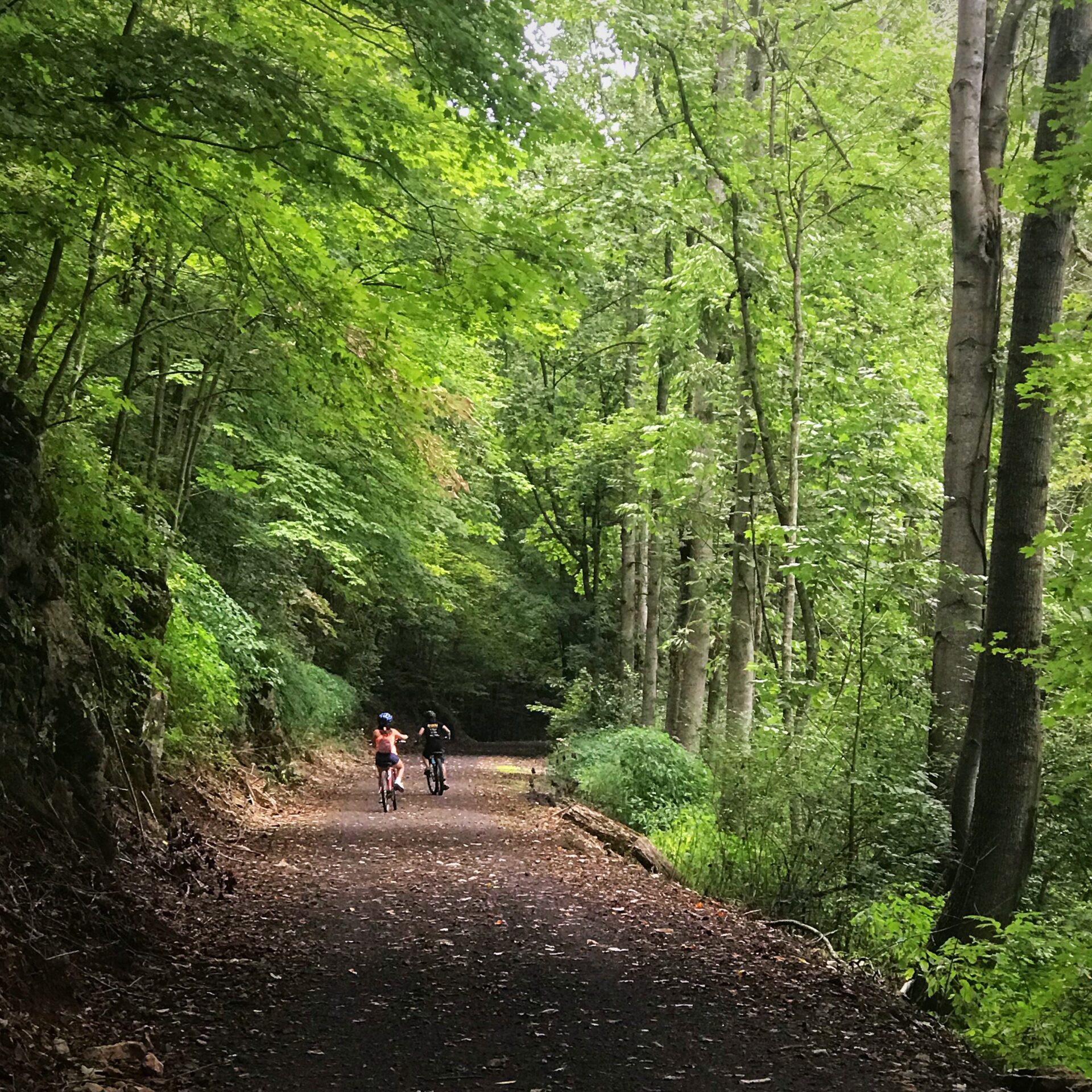 The Kind of Trail Ride You Don’t Have to Train For