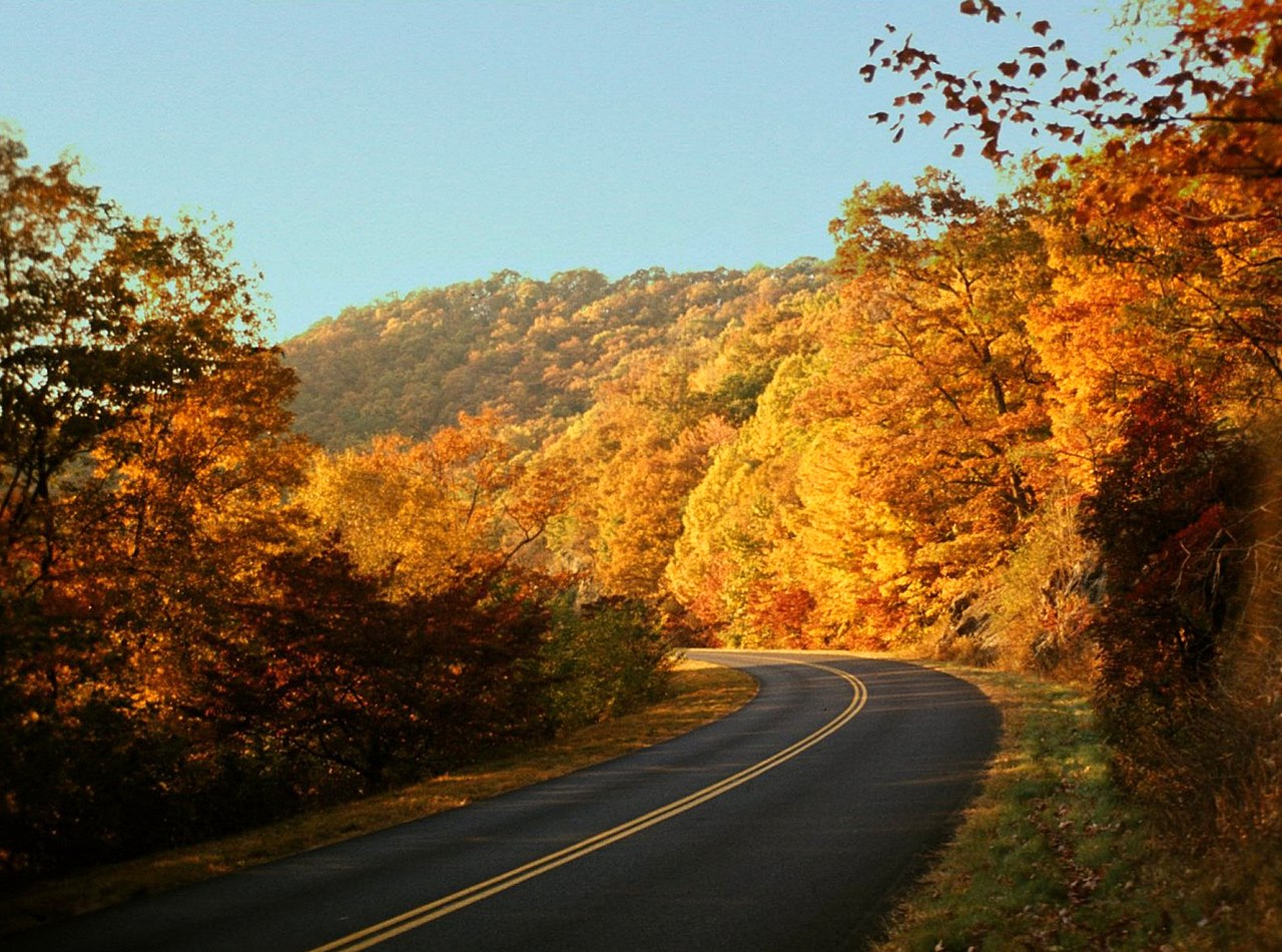Blue Ridge Parkway road winding through autumn trees, perfect for chasing fall colors