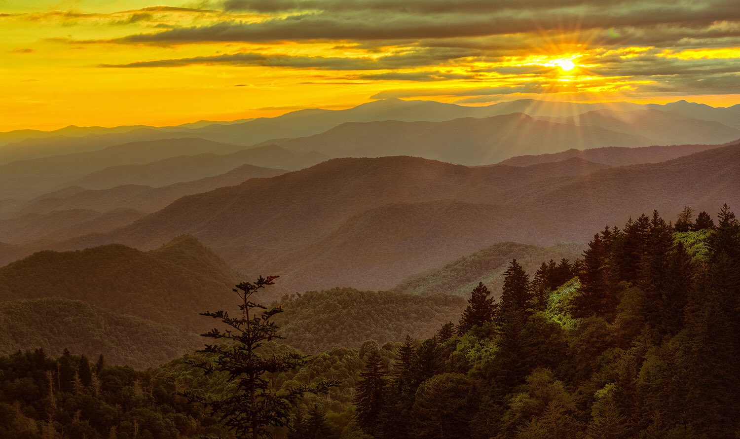 Sunset over layered Blue Ridge mountains with soft golden light.
