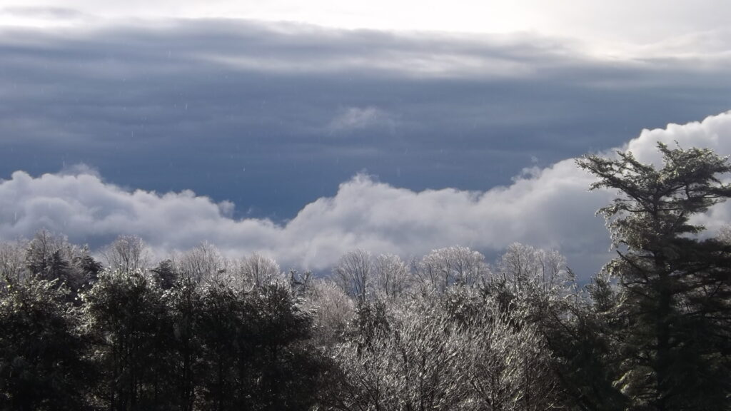 Bare trees coated in ice with dark winter clouds moving across the sky.