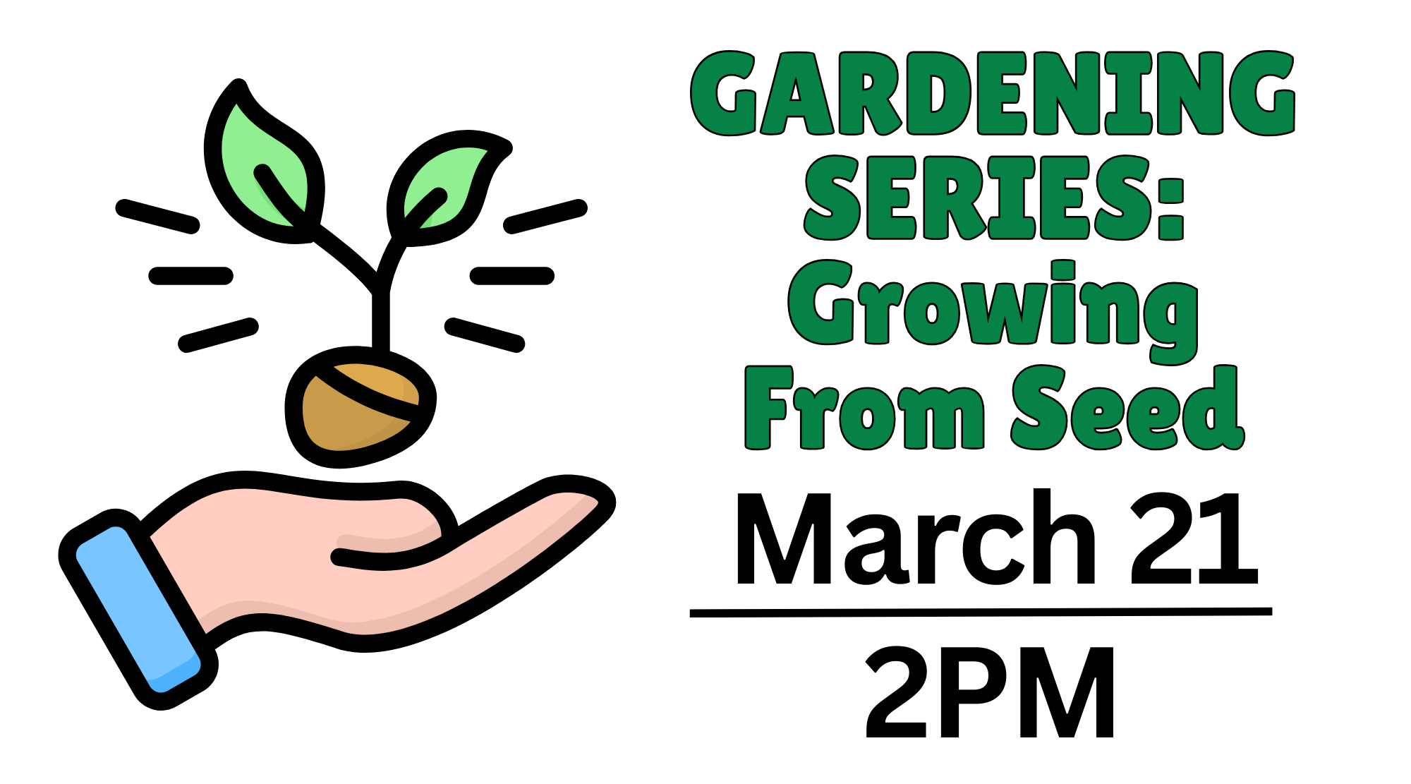 Gardening Series: Growing From Seed