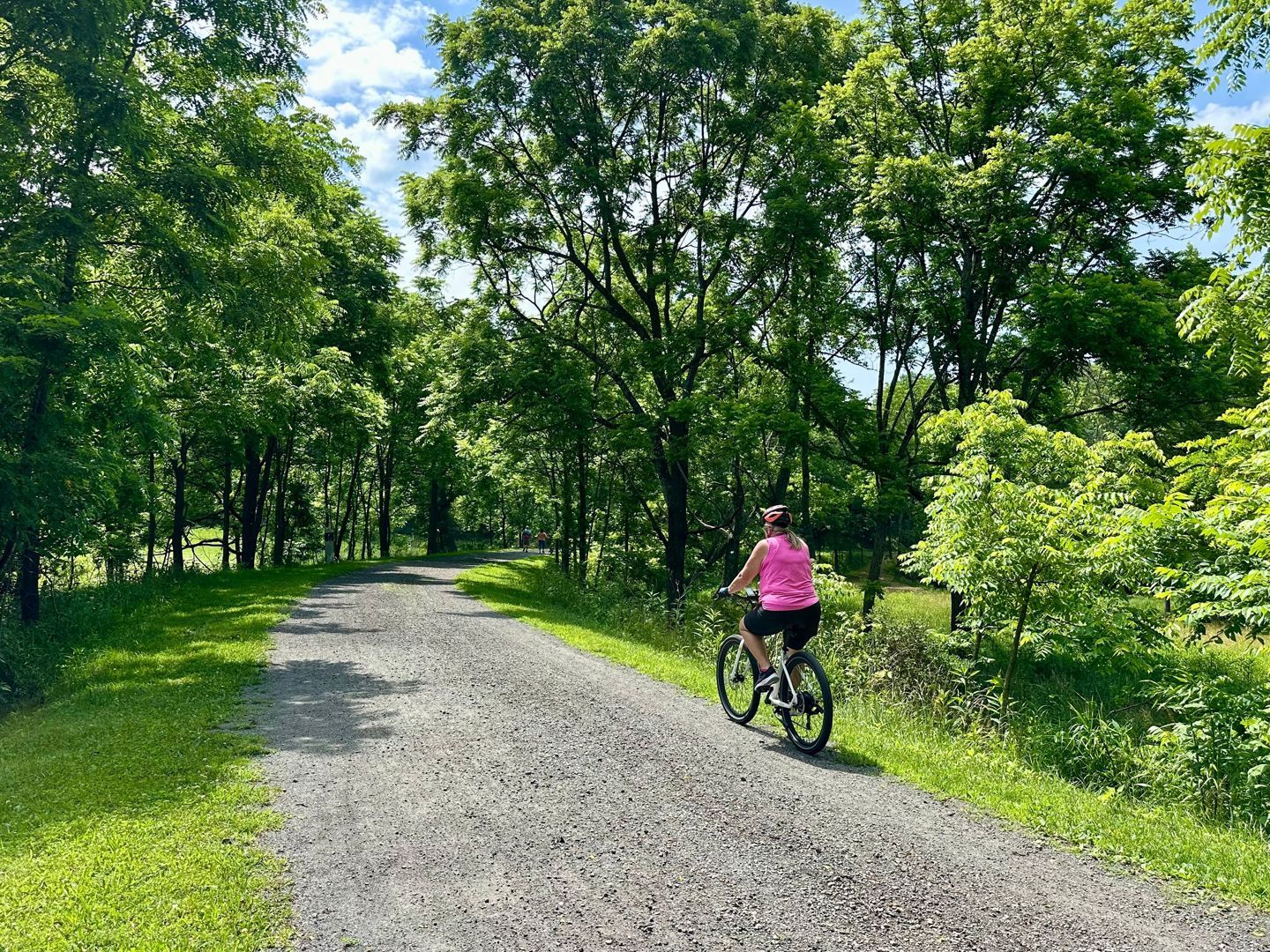 Where the New River Trail Ends and Galax Begins