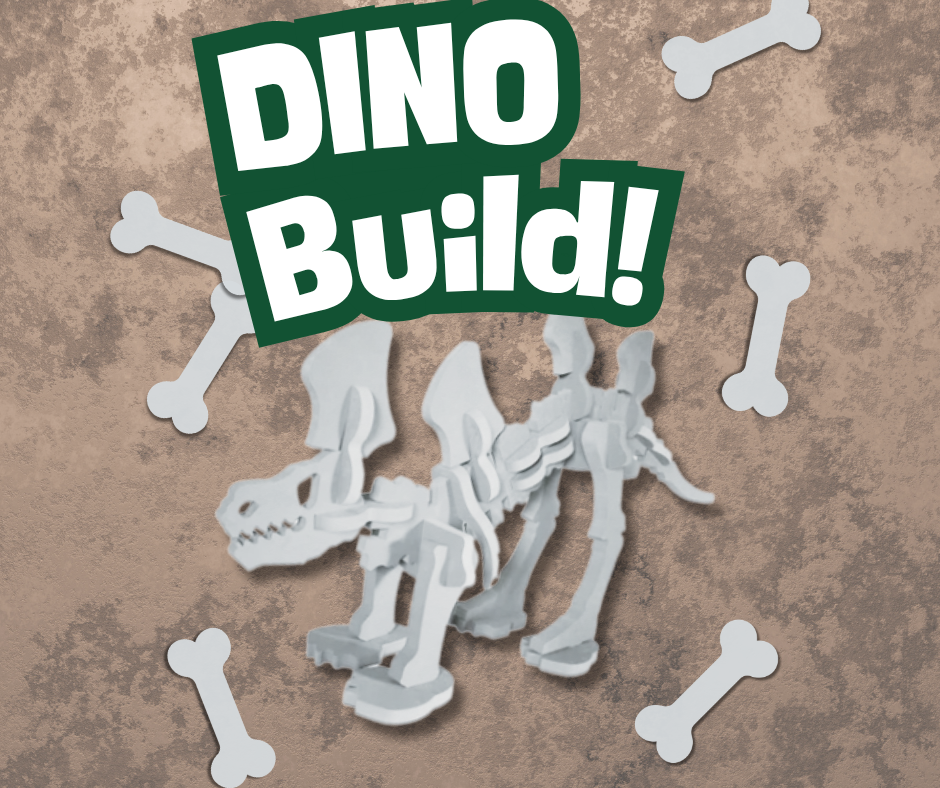 SRP Q&A; Dino Bones and Dig!