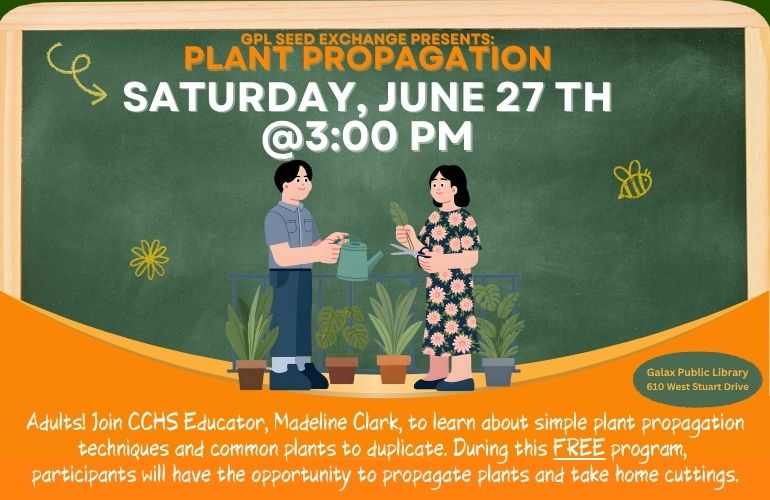 Gardening Series: Plant Propagation